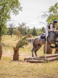 IMG_9561 IMG_9561