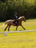 DSC00080