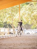 IMG_8863 IMG_8863
