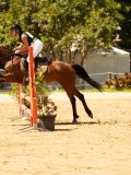 DSC09901