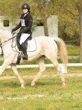 DSC08625 DSC08625