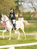 DSC08629 DSC08629
