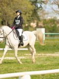 DSC08630 DSC08630