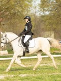 DSC08633 DSC08633