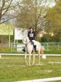 DSC08645 DSC08645