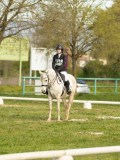 DSC08646 DSC08646