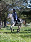 IMG_2023 IMG_2023