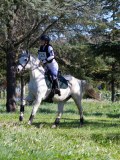 IMG_2024 IMG_2024