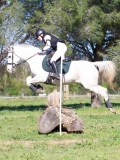 IMG_2030 IMG_2030