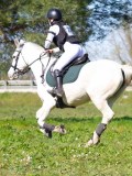 IMG_2033 IMG_2033