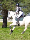 IMG_2034 IMG_2034