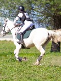 IMG_2037 IMG_2037