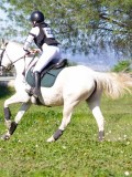 IMG_2038 IMG_2038