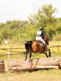 DSC04217 DSC04217