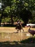 DSC01514 DSC01514