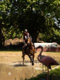 DSC01515 DSC01515
