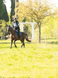 DSC00476 DSC00476