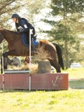 DSC00479 DSC00479
