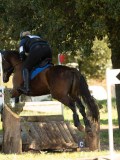 DSC00488 DSC00488