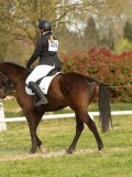 DSC08658 DSC08658