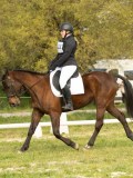 DSC08665 DSC08665