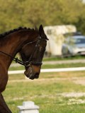 DSC08669 DSC08669
