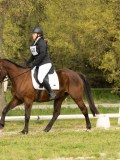 DSC08678 DSC08678
