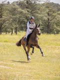 IMG_9542 IMG_9542