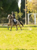 DSC00490 DSC00490