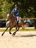 DSC00639 DSC00639