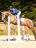 DSC00654 DSC00654