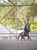 IMG_8937 IMG_8937