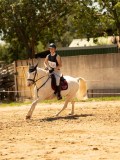 DSC00100 DSC00100