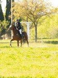DSC00516 DSC00516