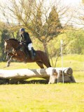 DSC00517 DSC00517