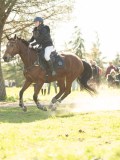 DSC00519 DSC00519