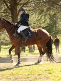 DSC00523 DSC00523