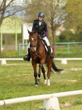 DSC08750 DSC08750