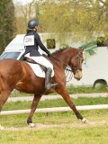 DSC08754 DSC08754