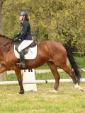 DSC08758 DSC08758