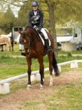 DSC08759 DSC08759