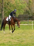 DSC08766 DSC08766