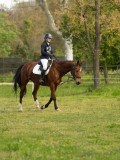 DSC08768 DSC08768