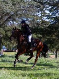 IMG_2119 IMG_2119