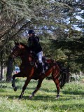 IMG_2120 IMG_2120