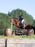 IMG_2123 IMG_2123