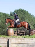 IMG_2124 IMG_2124