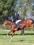 IMG_2130 IMG_2130