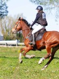 IMG_2133 IMG_2133