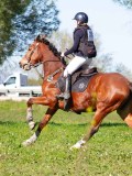 IMG_2134 IMG_2134